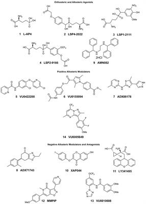 Corrigendum: Metabotropic Glutamate Receptor 7: A New Therapeutic Target in Neurodevelopmental Disorders